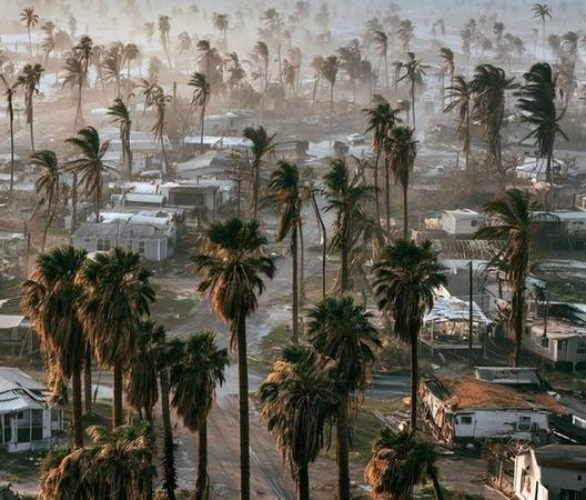 Aerial view of Florida Gulf Coast neighborhood with palm trees after a hurricane