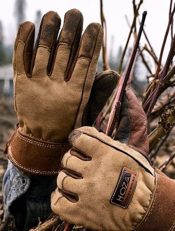 Weathered hands wearing tan leather work gloves gripping brush during backyard cleanup