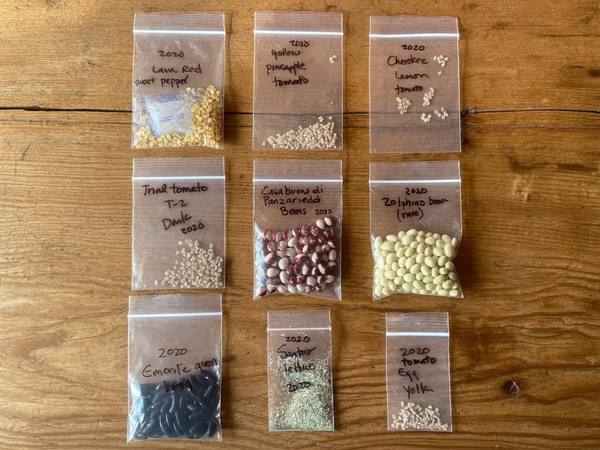 Labeled bags of saved seed varieties on a wooden surface, each handwritten with crop name and year
